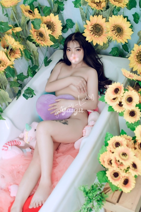 753027.png